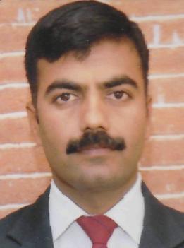 Mr. D D Salvitthal